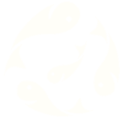 Logo PezPez — ir al inicio